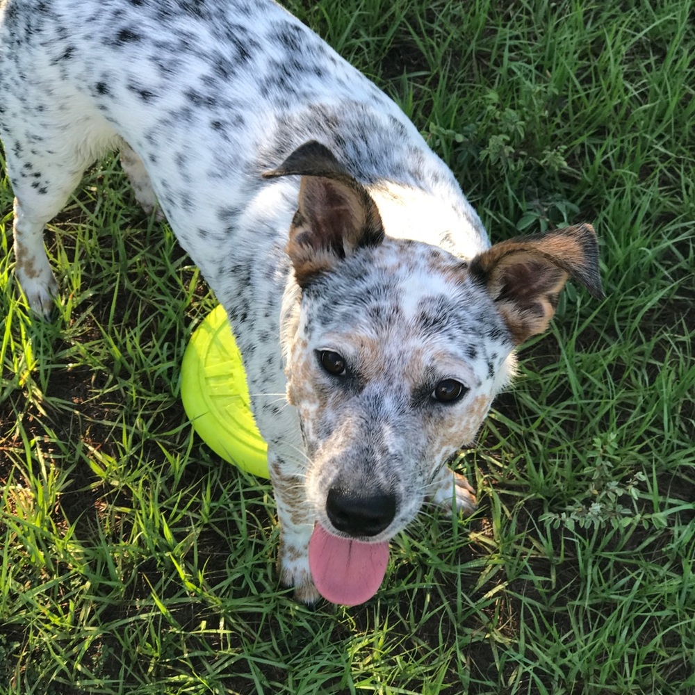 Meet your Posher, Seth